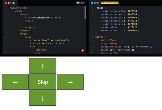 HTML & CSS editor windows above, results below